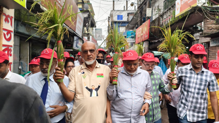 পিরোজপুরে বর্ণাঢ্য আয়োজনে বিএনপির ৪৮তম প্রতিষ্ঠাবার্ষিকী উদযাপন